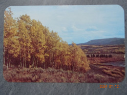 INDIAN SUMMER IN THE ROCKIES - Rocky Mountains