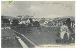 Gruss Aus WIL: Aussenquartier Mit Obstbaumwiese 1908 - Wil