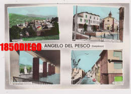 SALUTI DA S. ANGELO DEL PESCO - MULTIVEDUTE F/GRANDE  VIAGGIATA ANIMAZIONE - Campobasso