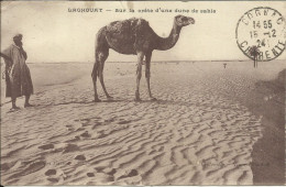 LAGHOUAT , Sur La Crête D'une Dune De Sable , 1924 ; الأغواط، على قمة الكثبان  الرملية , µ - Laghouat