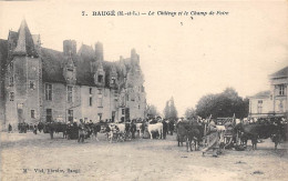 Baugé         49         Le Chateau Et Le Champ De Foire Aux Bestiaux    N° 7   (voir Scan) - Sonstige & Ohne Zuordnung