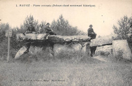 Baugé         49          Dolmen. Pierre Couverte    N°1   (voir Scan) - Sonstige & Ohne Zuordnung