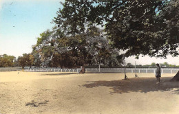 Baugé         49          Le Stade Scolaire      (voir Scan) - Sonstige & Ohne Zuordnung