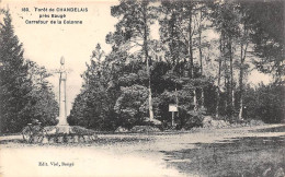 Baugé         49           Forêt De Chandelais. Carrefour De La Colonne   N° 180    (voir Scan) - Autres & Non Classés