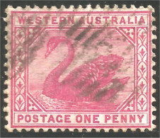 944 Western Australia Swan ONE Penny Rose Watermark Crown C A (WEA-7) - Used Stamps