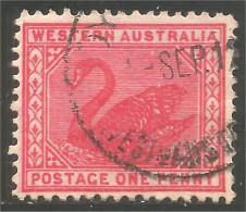 944 Western Australia Swan One Penny Red Perf 12.5 X 12 (WEA-2) - Used Stamps