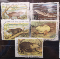 Kubana 1962 Wildlebende Säugetiere Mi 830/34° Gestempelt - Used Stamps