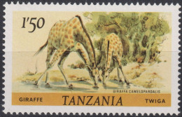 1980 Tansania ** Mi:TZ 168A, Sn:TZ 168, Yt:TZ 170, Giraffe (Giraffa Camelopardalis) - Tanzanie (1964-...)