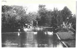 Postcard - Brazil, Parque Da Redencao, Porto Alegre - Porto Alegre