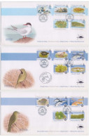 Birds, Bird, Seagulls, Rockhopper Penguin Walrus Seal, Antarctic Tern, Lobster, Marine Animal, Fauna Tristan 3x FDC 2005 - Gaviotas