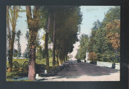 CPA - 79 - Brioux-sur-Boutonne - L'Allée Des Tilleuls Et La Route Nationale - Non Circulée - Brioux Sur Boutonne