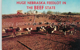 73243358 Nebraska_US-State Feedlot In Beef State - Autres & Non Classés