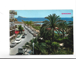 CPM BENIDORM , PARQUE DE COLON  (voir Timbres) - Alicante