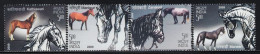 XK0191 India 2009 Various Good Breed Horses 4V MNH - Unused Stamps