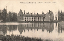 FRANCE - Chilleurs Aux Bois - Le Château De Chamerolles Et L'étang - Carte Postale Ancienne - Sonstige & Ohne Zuordnung