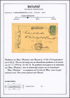 Collection - EP Au Type 5ctm Vert Pellens Expédié De Mons / Bergen (1914) + Griffe à L'origine FLENU (PRODUITS) > Bruxel - Linear Postmarks