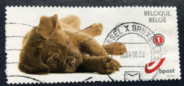 België - Belgique - C3/15 - 2011 - (°)used - Michel 4228 - Puppies - Gebraucht