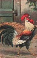 ANIMAUX & FAUNE - Coq - Dessin - Carte Postale Ancienne - Other & Unclassified