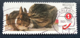 België - Belgique - C3/27 - 2016 - (°)used - Sweet Kisses - Used