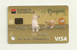 CARTE DE DEMONSTRATION VISA PREMIER  THEME  CHIENS/SPA - Tarjetas De Crédito (caducidad Min 10 Años)