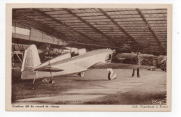 AVIATION - Caudron 460 Du Record De Vitesse (voir Description) - 1919-1938: Entre Guerres