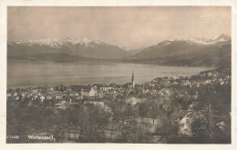 SUISSE - Wädenswil - Panorama - Carte Postale Ancienne - Wädenswil