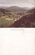 2948/ Herrenalb Vom Falkenstein, 1917 - Herrenberg