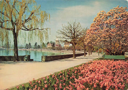 SUISSE - Lausanne - Ouchy - Vue Sur Les Quais - Colorisé - Carte Postale - Lausanne