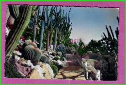 CPM MONACO - LE JARDIN EXOTIQUE Le Pont Des E Grusonii Cactus Fleur Carte Dentelée - Exotischer Garten
