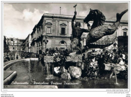 CALTANISSETTA:  PARTICOLARE  FONTANA  TRIPISCIANO  -  FOTO  -  FG - Caltanissetta