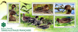 298430 MNH ANTARTIDA FRANCESA 2013  - Ungebraucht