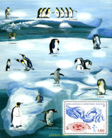 305752 MNH ANTARTIDA FRANCESA 2013 GRABADO - Ungebraucht