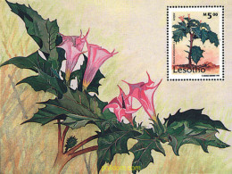 94413 MNH LESOTHO 1995 PLANTAS MEDICINALES - Lesotho (1966-...)