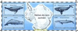 260531 MNH ANTARTIDA FRANCESA 2011 BALLENAS DE LOS MARES AUSTRALES - Nuevos