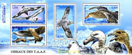 355023 MNH ANTARTIDA FRANCESA 2016 AVES - Nuevos