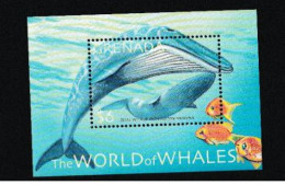 GRENADA Baleines, Baleine, Whales, Ballena, Wal. Yvert BF 414 ** MNH - Walvissen