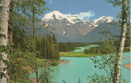 CANADIAN ROCKIES - MOUNT ROBSON - Other & Unclassified