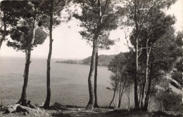 FRANCE - Le Lavandou - Les îles D'Or Vues De La Plage De La Favière - Carte Postale Ancienne - Le Lavandou