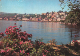 SUISSE - Lugano - Vue D'ensemble - Carte Postale - Lugano