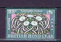 Brit. Honduras 1971: Michel 265 Used, Gestempelt - Honduras Britannico (...-1970)