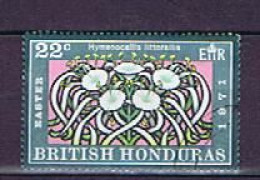 Brit. Honduras 1971: Michel 265 Used, Gestempelt - Brits-Honduras (...-1970)