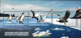 602382 MNH ANTARTIDA FRANCESA 2017 AVES DE LAS REGIONES ARTICAS - Nuevos