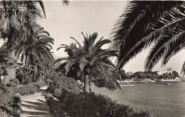 FRANCE - Beaulieu Sur Mer - Le Jardin Exotique - La Villa Kerylos - Carte Postale Ancienne - Beaulieu-sur-Mer