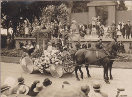 Horse Cheval Pferde Paard Caballo Cavalli  CHEVAUX Car Flowers Old PC. Cpm. 1931 - Chevaux