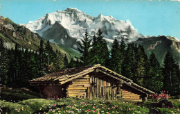 SUISSE - Jungfrau - Carte Postale - Sonstige & Ohne Zuordnung