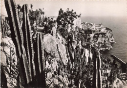 MONACO - Le Rocher Vu Des Jardins Exotiques - Carte Postale Ancienne - Other & Unclassified