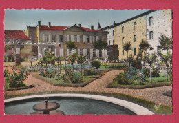 LAVAUR   L'hôtel De Ville Et Les Jardins     81 - Lavaur