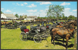 Animals  Animaux - Horses Chevaux - Mennonnite Meeting House Horses And Buggies - Uncirculated  Non Circulée - No:S-1451 - Chevaux