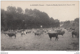 Vienne Saint Benoit Prairie Du Moulin Service De La Guerre 1914 (lot AE1) - Saint Benoit