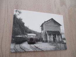 CPM 48 Lozère Chemins De Fer Départementaux CFD Trains En Croisement à La Gare De Saint Hilaire De Lavit - Autres & Non Classés